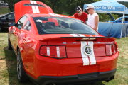 MUSTANG